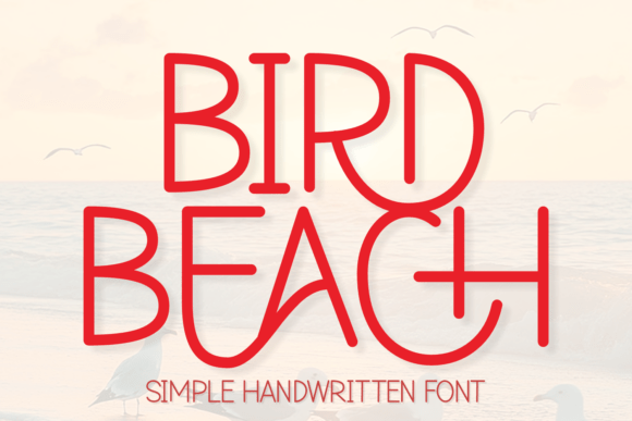 Bird Beach Font Review